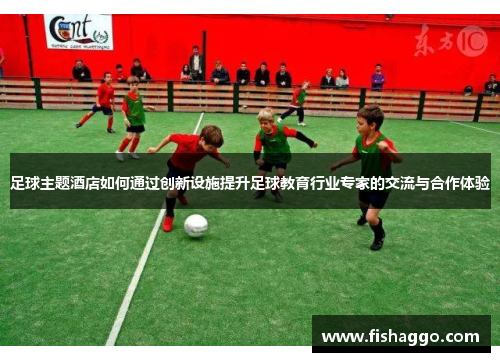 足球主题酒店如何通过创新设施提升足球教育行业专家的交流与合作体验